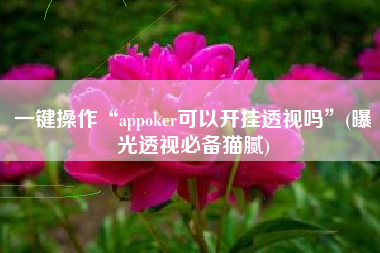 一键操作“appoker可以开挂透视吗	”(曝光透视必备猫腻)