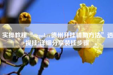 实操教程“wepoker德州开挂辅助方法”透视挂!详细分享装挂步骤