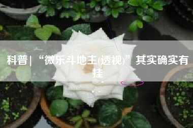 科普|“微乐斗地主(透视)	”其实确实有挂