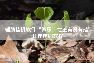 辅助挂机软件“微乐二七王有没有挂”开挂详细教程