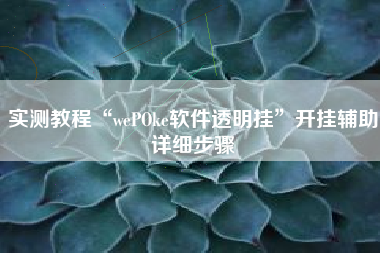 实测教程“wePOke软件透明挂	”开挂辅助详细步骤