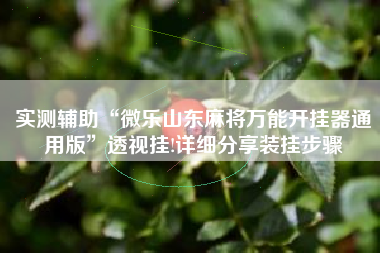 实测辅助“微乐山东麻将万能开挂器通用版	”透视挂!详细分享装挂步骤