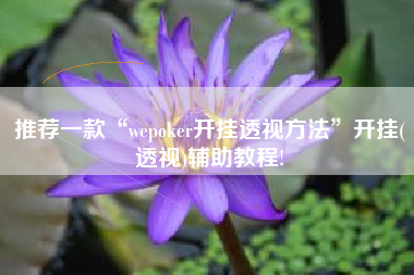 推荐一款“wepoker开挂透视方法”开挂(透视)辅助教程!