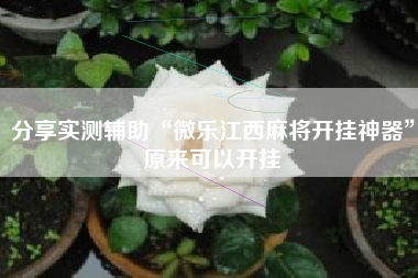 分享实测辅助“微乐江西麻将开挂神器”原来可以开挂