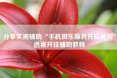 分享实测辅助“手机微乐麻将开挂视频”透视开挂辅助教程