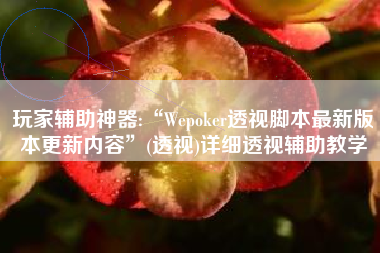 玩家辅助神器:“Wepoker透视脚本最新版本更新内容”(透视)详细透视辅助教学