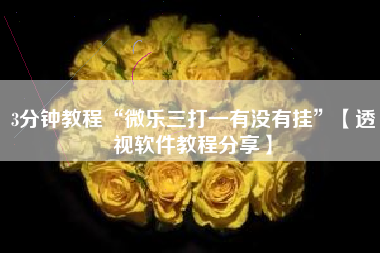 3分钟教程“微乐三打一有没有挂”【透视软件教程分享】