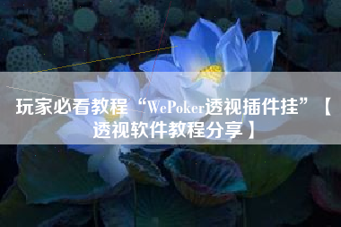 玩家必看教程“WePoker透视插件挂	”【透视软件教程分享】