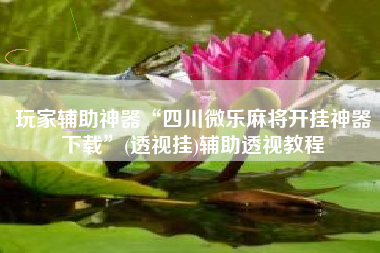 玩家辅助神器“四川微乐麻将开挂神器下载”(透视挂)辅助透视教程