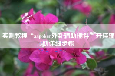 实测教程“aapoker外卦辅助插件	”开挂辅助详细步骤