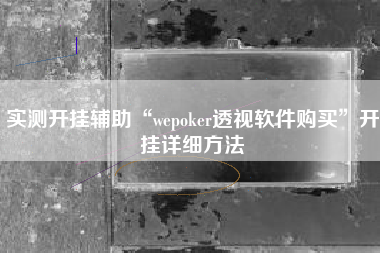 实测开挂辅助“wepoker透视软件购买	”开挂详细方法