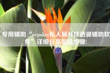 专用辅助“wepoker私人局开挂透视辅助软件”详细分享装挂步骤!