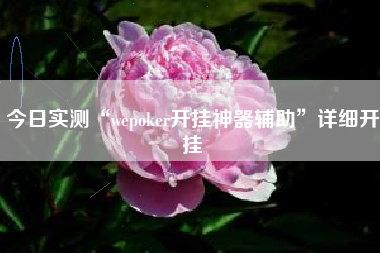 今日实测“wepoker开挂神器辅助	”详细开挂