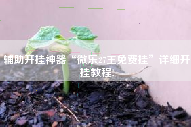 辅助开挂神器“微乐27王免费挂	”详细开挂教程!