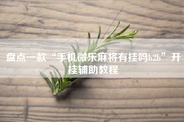 盘点一款“手机微乐麻将有挂吗b2b”开挂辅助教程
