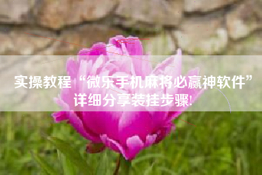 实操教程“微乐手机麻将必赢神软件	”详细分享装挂步骤!