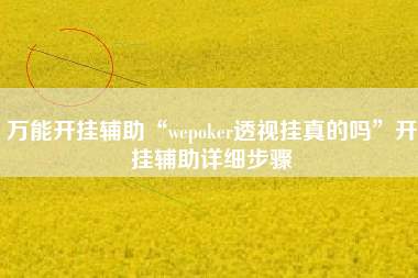 万能开挂辅助“wepoker透视挂真的吗”开挂辅助详细步骤