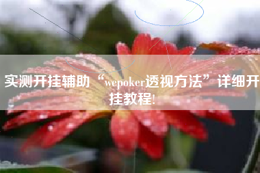 实测开挂辅助“wepoker透视方法”详细开挂教程!