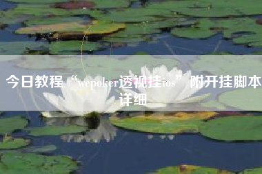 今日教程“wepoker透视挂ios	”附开挂脚本详细