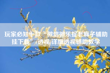 玩家必知十款“微信微乐捉老麻子辅助挂下载	”(透视)详细透视辅助教学