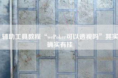 辅助工具教程“wePoker可以透视吗”其实确实有挂