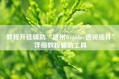 教程开挂辅助“德州Wepoker透视插件	”详细教程辅助工具