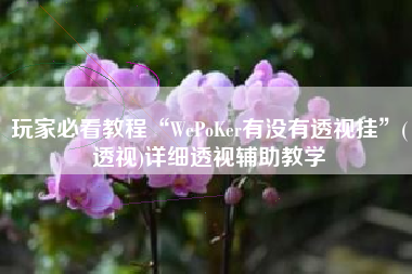 玩家必看教程“WePoKer有没有透视挂	”(透视)详细透视辅助教学