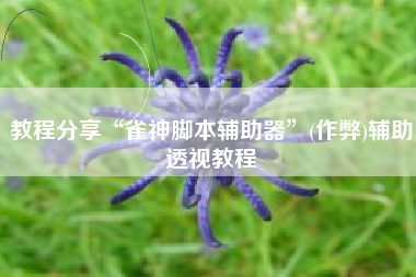 教程分享“雀神脚本辅助器”(作弊)辅助透视教程