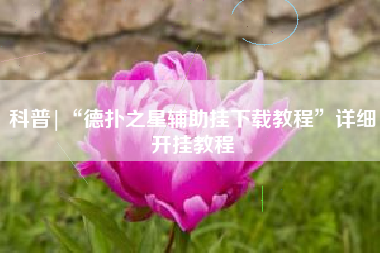 科普|“德扑之星辅助挂下载教程	”详细开挂教程