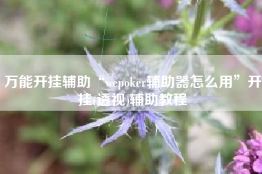 万能开挂辅助“wepoker辅助器怎么用”开挂(透视)辅助教程
