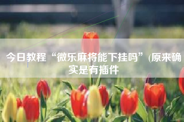 今日教程“微乐麻将能下挂吗	”(原来确实是有插件