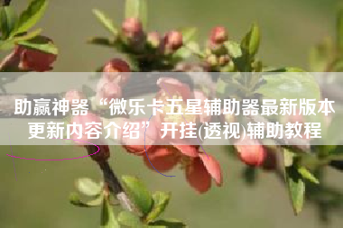 助赢神器“微乐卡五星辅助器最新版本更新内容介绍”开挂(透视)辅助教程