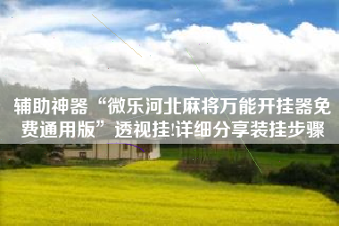 辅助神器“微乐河北麻将万能开挂器免费通用版”透视挂!详细分享装挂步骤