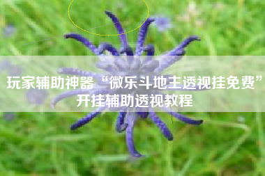 玩家辅助神器“微乐斗地主透视挂免费”开挂辅助透视教程