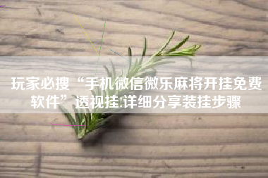 玩家必搜“手机微信微乐麻将开挂免费软件”透视挂!详细分享装挂步骤