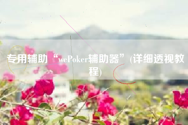 专用辅助“wePoker辅助器	”(详细透视教程)