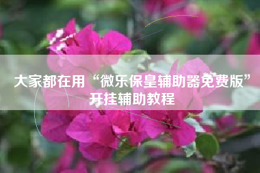 大家都在用“微乐保皇辅助器免费版”开挂辅助教程