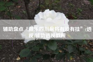 辅助盘点“微乐四川麻将有没有挂”(透视)辅助透视教程