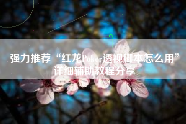 强力推荐“红龙Poker透视脚本怎么用”详细辅助教程分享