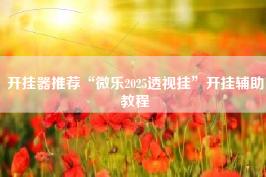 开挂器推荐“微乐2025透视挂”开挂辅助教程