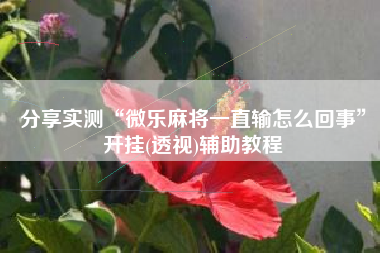 分享实测“微乐麻将一直输怎么回事”开挂(透视)辅助教程