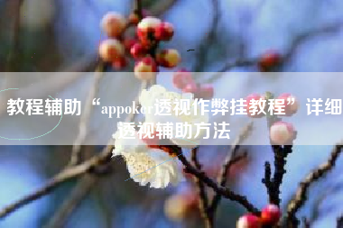 教程辅助“appoker透视作弊挂教程”详细透视辅助方法