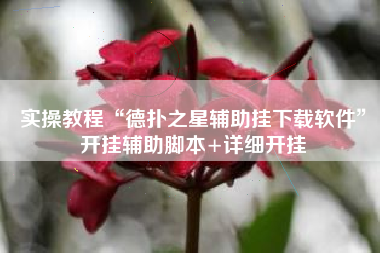 实操教程“德扑之星辅助挂下载软件”开挂辅助脚本+详细开挂