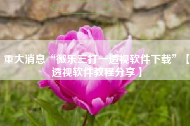 重大消息“微乐三打一透视软件下载”【透视软件教程分享】