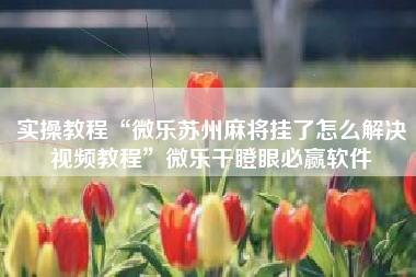 实操教程“微乐苏州麻将挂了怎么解决视频教程	”微乐干瞪眼必赢软件