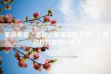 重磅来袭“德扑之星辅助挂下载”【透视软件教程分享】