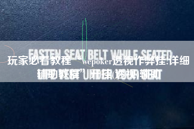 玩家必看教程“wepoker透视作弊挂!详细辅助教程”开挂(透视)辅助