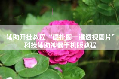 辅助开挂教程“德扑圈一键透视图片	”科技辅助神器手机版教程