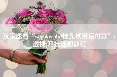 玩家速看“wepokerplus挂先试用后付款	”(透视)开挂详细教程