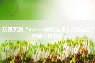 玩家实测“WePoker辅助挂怎么用最安全”详细开挂教程!